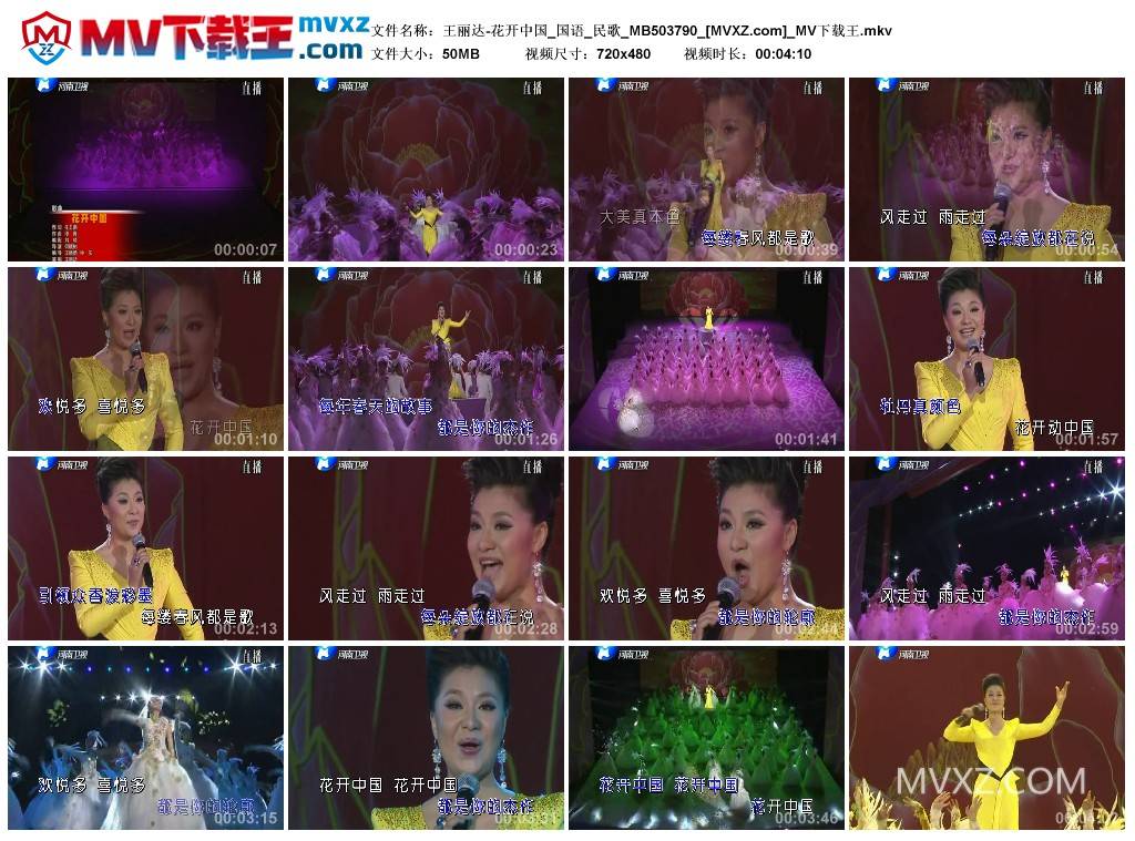 王丽达-花开中国_国语_民歌_MB503790